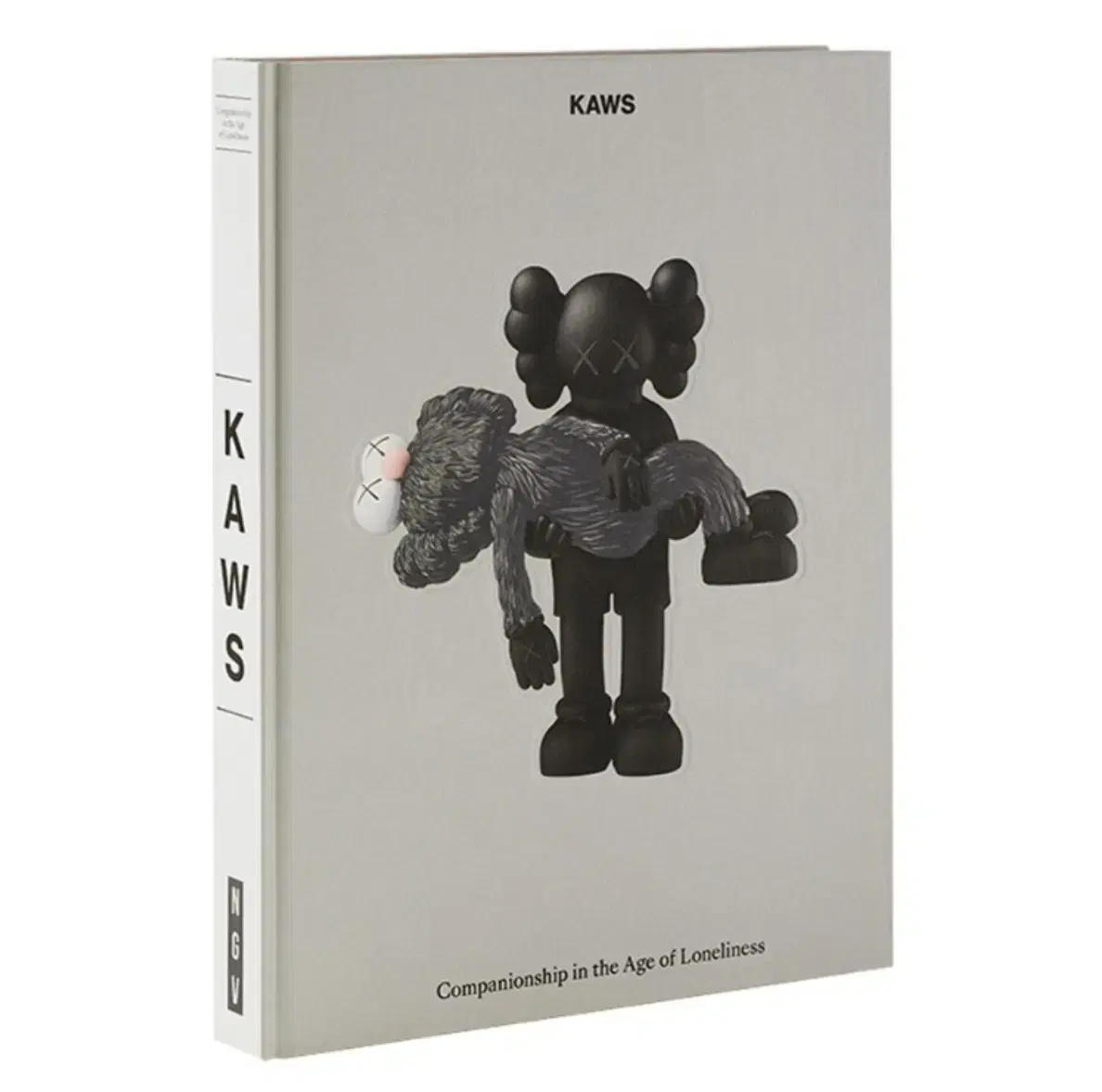 Kaws 한정판 전시 도록 카우스 2019 COMPANIONSHIP